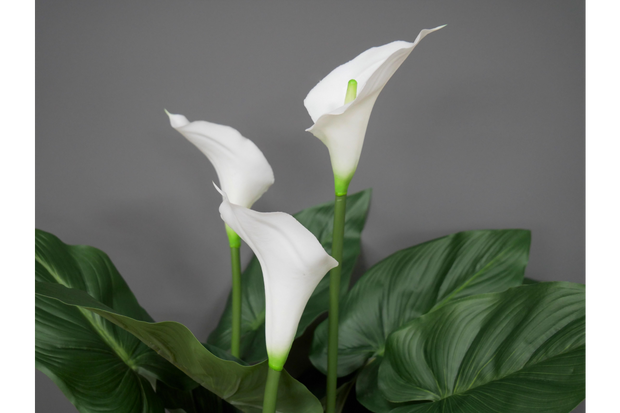 Artificial White Lily